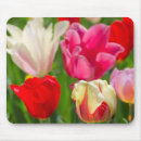 Search for assorted colours mousepads Bright