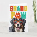 Search for bernese mountain dog cards From the dog