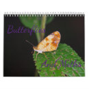 Search for moth calendars Wildlife