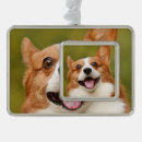 Search for dog frame christmas tree decorations Pets