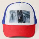 Search for cover hats Dog