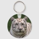 Search for tiger key rings White