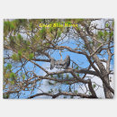 Search for blue heron magnets Nature