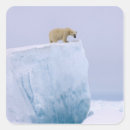 Search for steve stickers Alaska