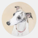 Search for whippet dog stickers White
