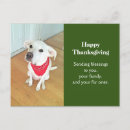 Search for funny dog picture postcards Adorable
