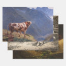 Search for rural wrapping paper Sheep