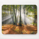 Search for misty mousepads Sun