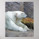Search for cold posters Chill