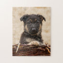 Search for german shepherd puzzles Animal