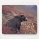 Search for nas mousepads Autumn