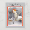 Search for snow birds postcards Winter