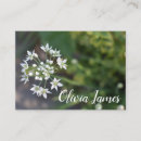 Search for delicate business cards Flower