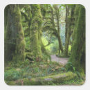 Search for maple trees stickers Outdoors