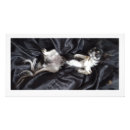 Search for black chihuahua posters Cute