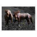 Search for fighting photography Horses
