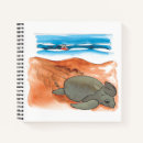 Search for turtle notebooks Colourful