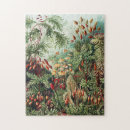 Search for wilderness Vintage