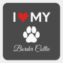 Search for collie stickers Border