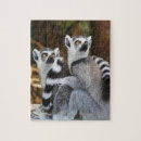 Search for lemur gifts Fun