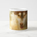Search for siberian huskies mugs Siberian husky dog