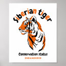 Search for endangered tigers posters Big cats
