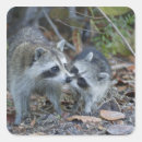 Search for national animal stickers Adult