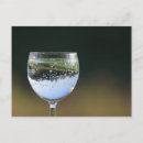 Search for water bubble postcards Blue