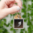 Search for capsule key rings Science