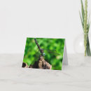 Search for dragonfly note cards Insect