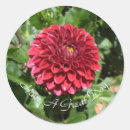 Search for red dahlia stickers Flower