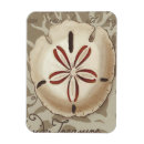 Search for seaside magnets Sonnet