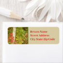 Search for birch return address labels Trendy
