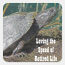 Search for slow turtle stickers Reptile