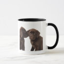 Search for chocolate labrador retrievers mugs Animals