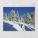 Search for alpine postcards Blue