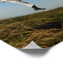 Search for taekwondo posters Martial