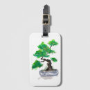 Search for zen garden accessories Bonsai