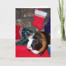 Search for guinea pig christmas cards Cute