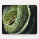 Search for amazons mousepads Animal