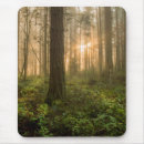 Search for rain forest mousepads Landscape