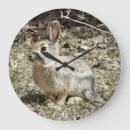 Search for cottontail art Rabbit