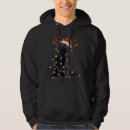 Search for hail satan clothing Funny cat