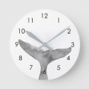 Search for whale clocks Ocean