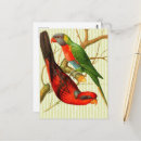 Search for vintage bird illustration postcards Tropical