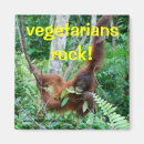 Search for vegetarianism magnets Animals