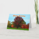 Search for oak tree cards Fall