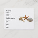 Search for large shells business cards Photography