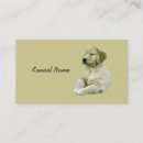 Search for breeder Dog