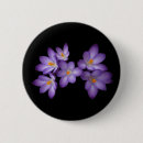 Search for crocus accessories Blossom